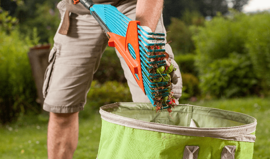 Yard Clean-Up